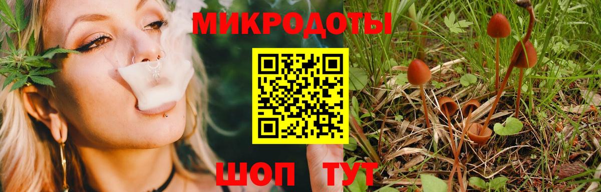 Псилоцибиновые грибы ЛСД Великий Устюг