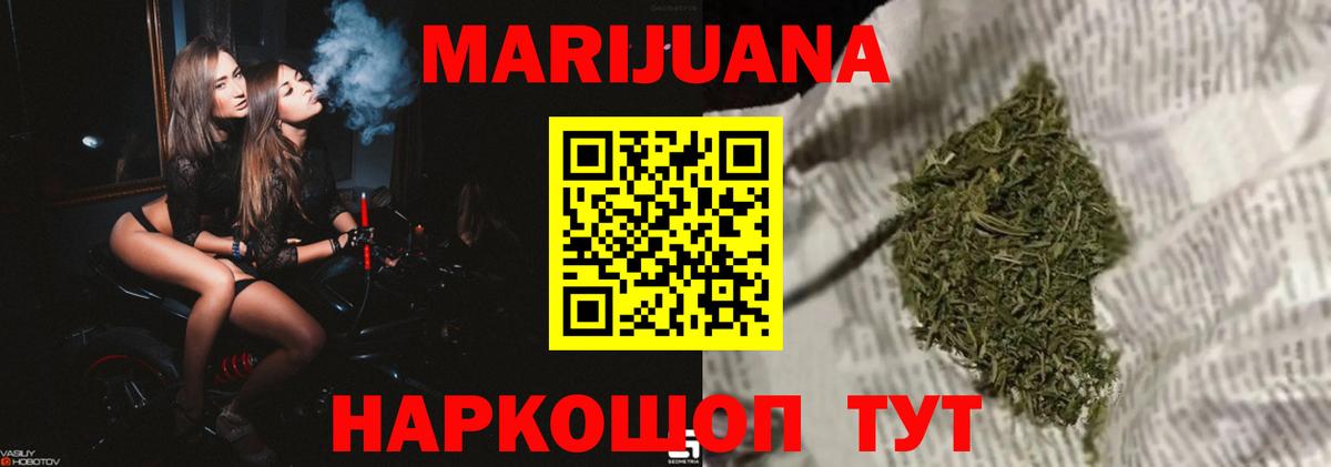 Каннабис OG Kush Великий Устюг